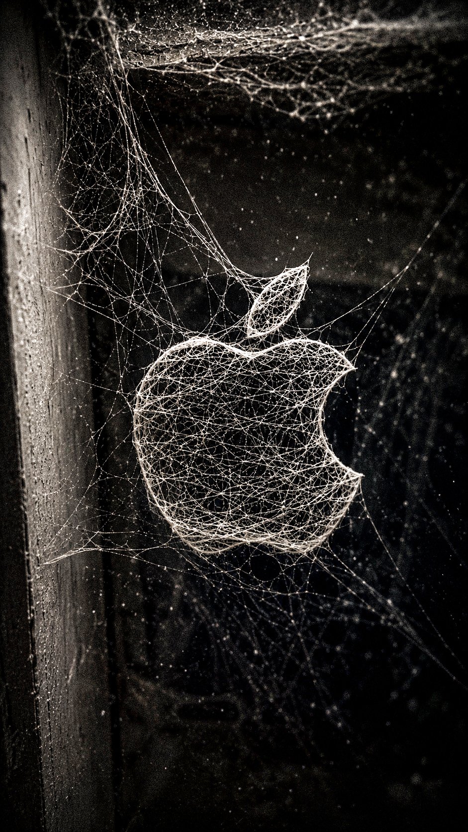 A highly realistic 3D spider web forming the [BRAND NAME + L