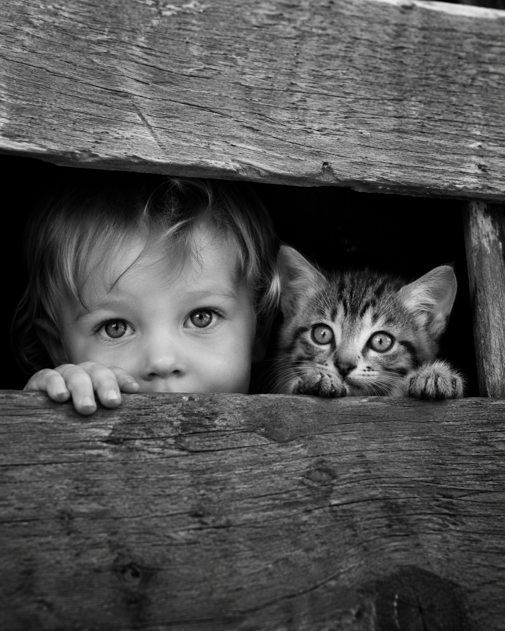 Black and white documentary photography, close-up shot, a li