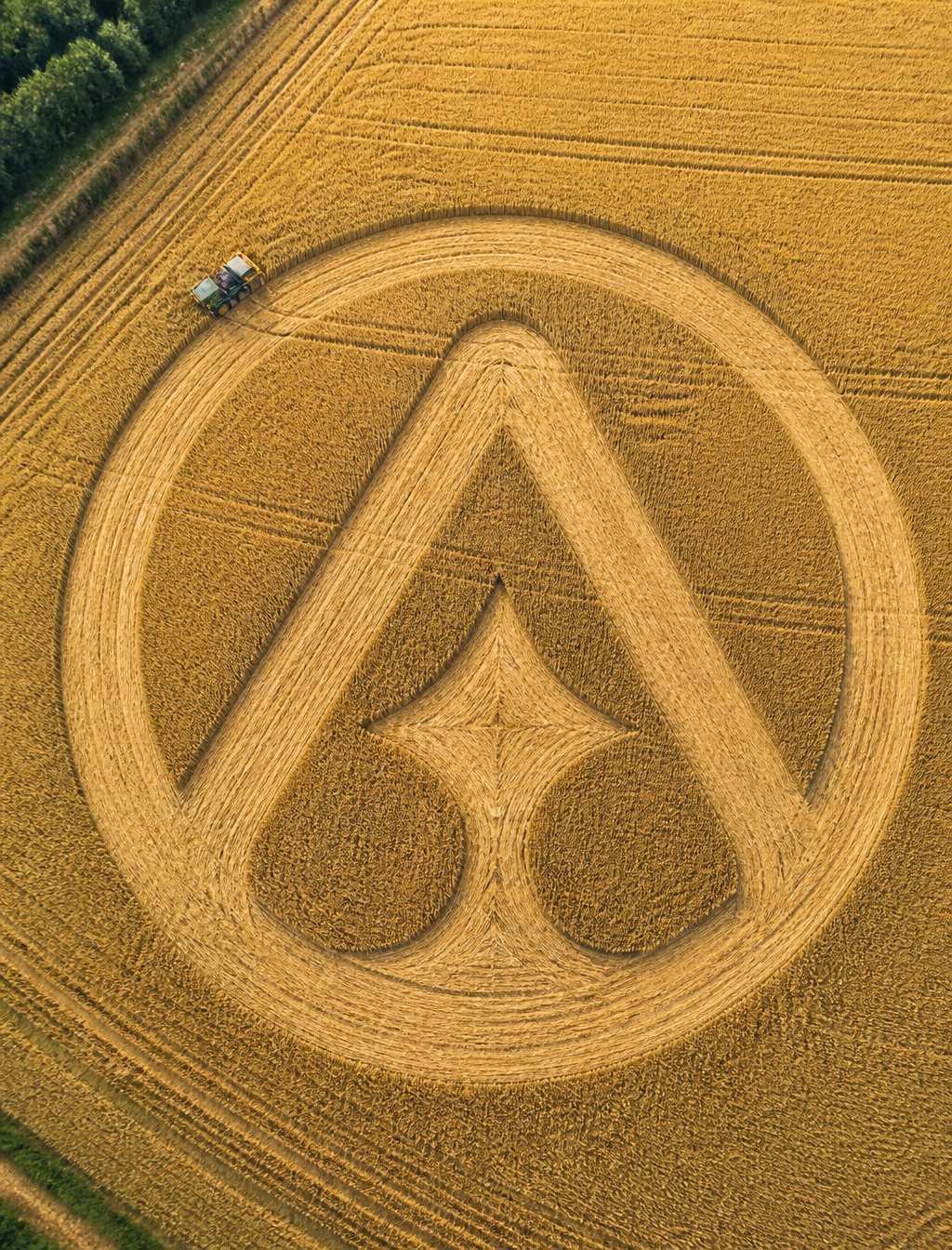 Aerial drone photo of a yellow wheat field, a tractor active