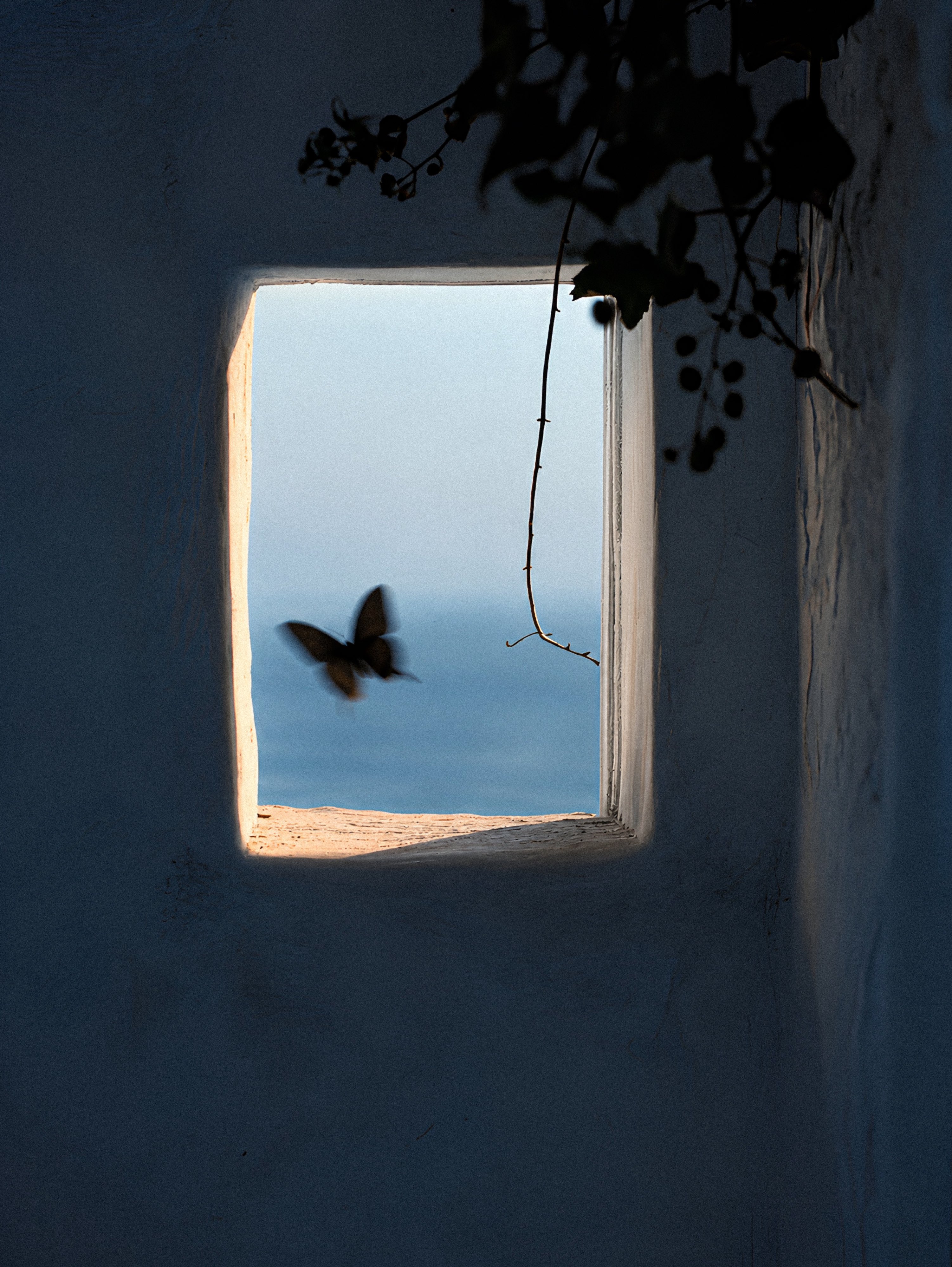 photorealistic image of a square window from a dark, rustic