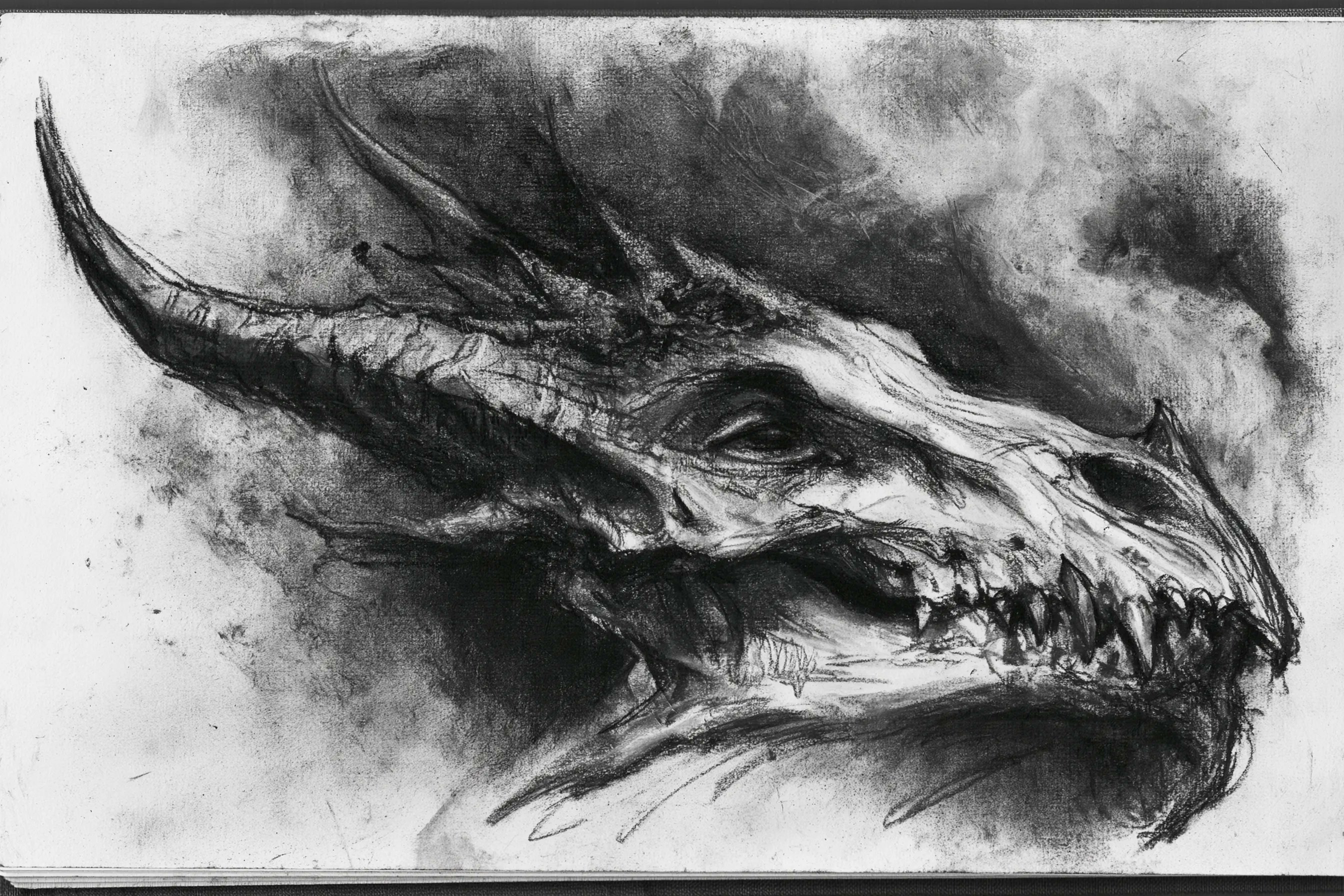 Gritty Charcoal

💬Prompt: A charcoal sketch of a [subject],